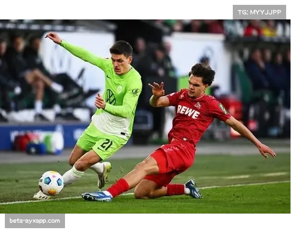 霍芬海姆3-2逆转沃尔夫斯堡 客场表现持续强势